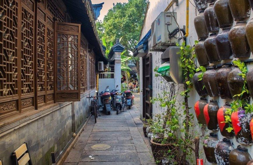 探寻新知,畅游学生应该注重文化培养还是素质培养?吉鹿力问答社区